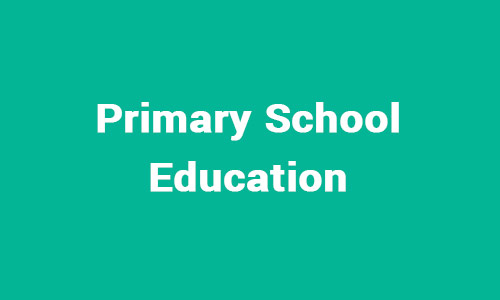 Primary School Education